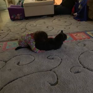 Meet your Posher, Cherine